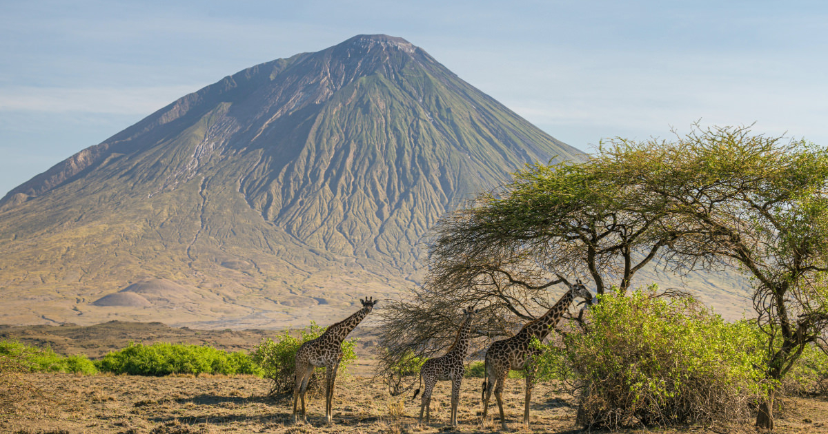Kiliminjaro Climbs and Camping Tours