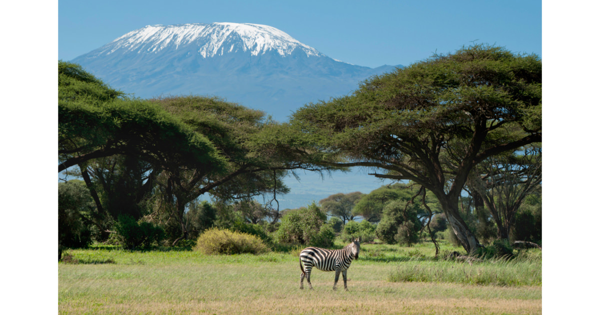 Kiliminjaro Safari Guided Tours
