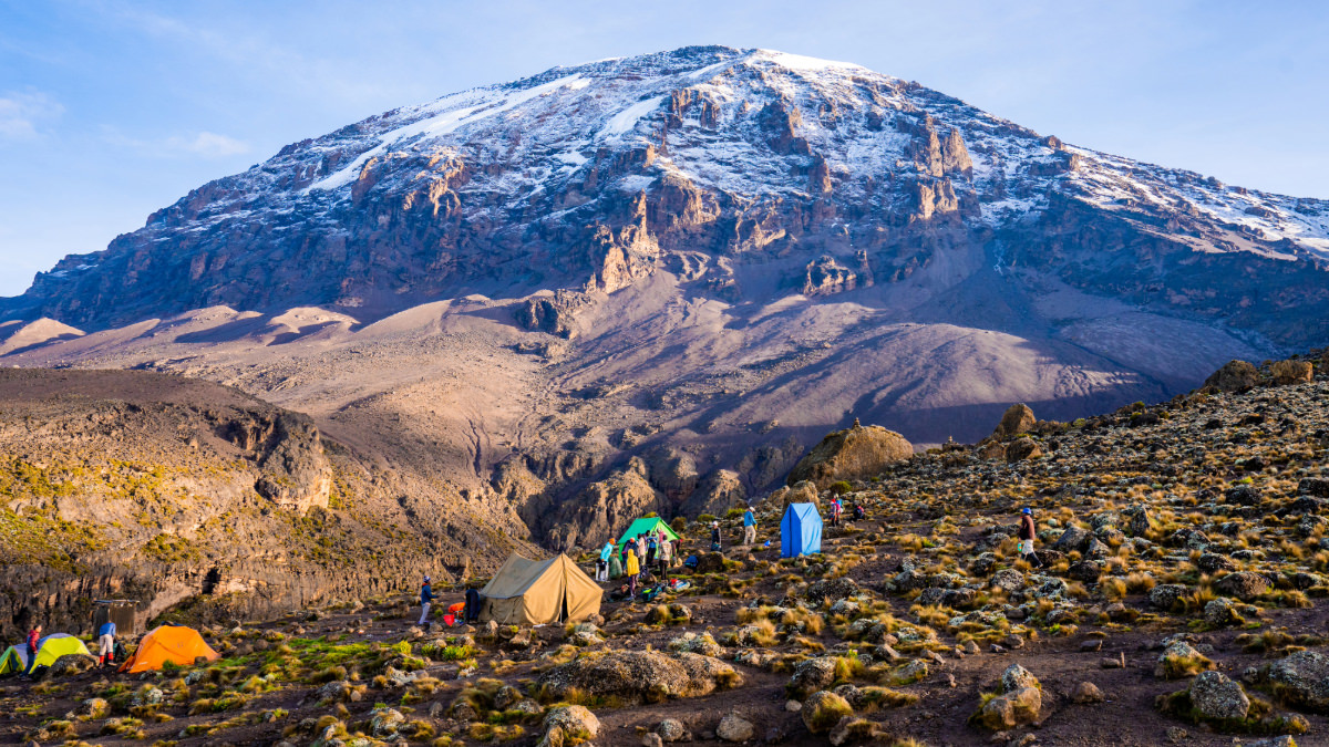 Kiliminjaro Climb and Safari Tour Holiday