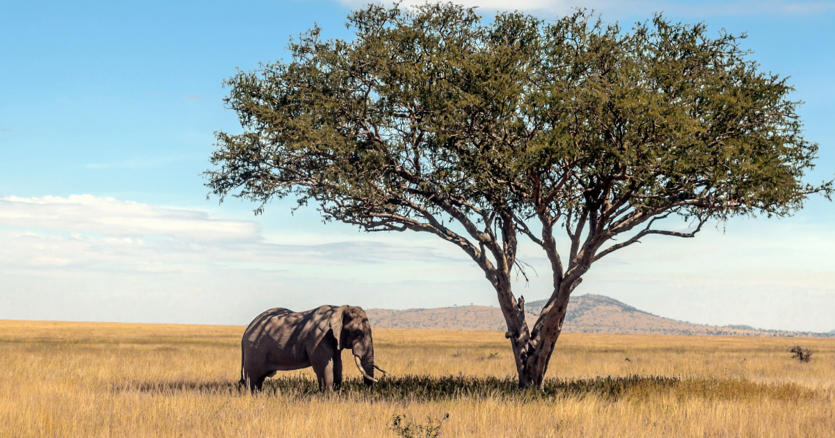 Overland Safari African Addictive Adventures